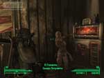 Fallout 3