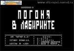 Погоня в лабиринте - игра для Партнер 0101